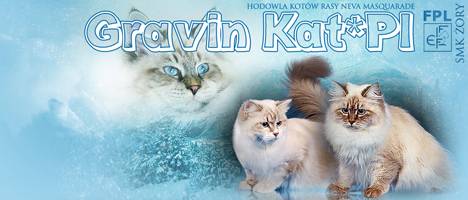 Gravin Kat*PL, Neva Masquerade